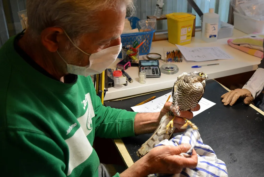 Centre de soins Languidic